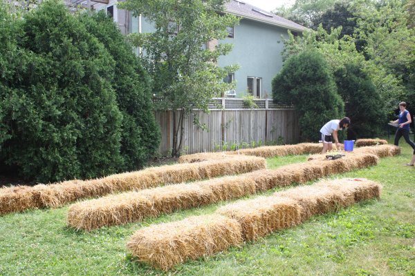 Since straw bales sit on top of grass and since they disintegrate after two years, they are a good alternative to long-term gardening.